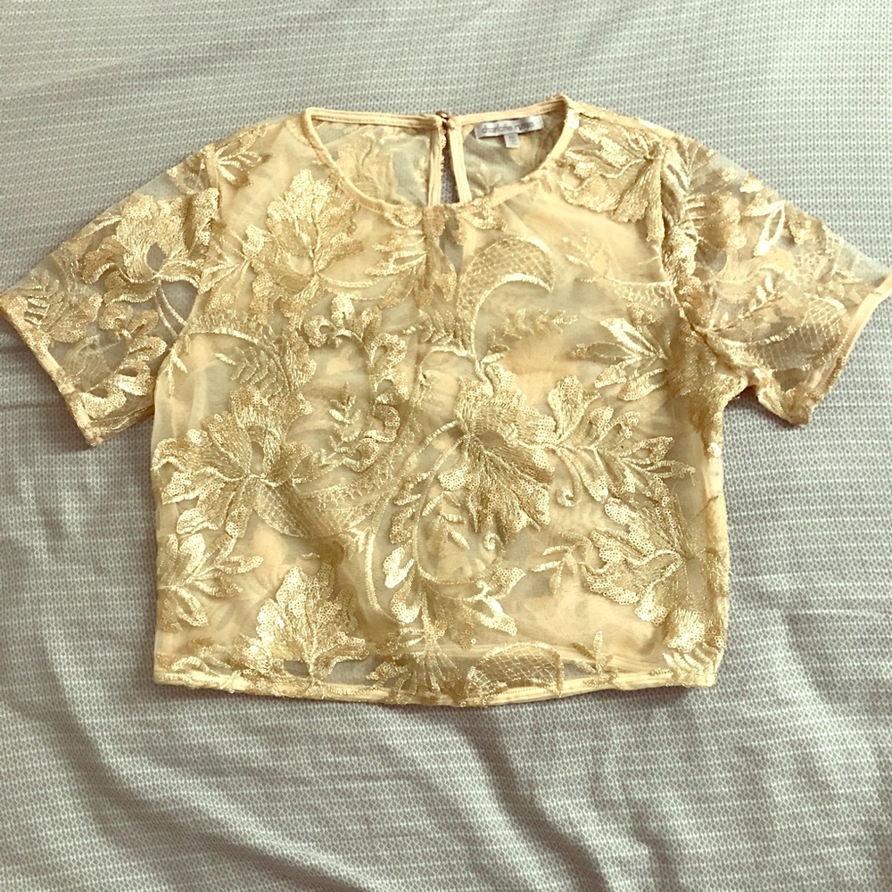 See Through Embroidered Gold Crop